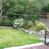 The Garden - Photo 1