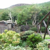 The Garden - Photo 2