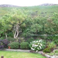 The Garden - Photo 3